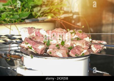 Viande marinée sur des brochettes couchées sur une casserole. Viande marinée avec des herbes prêtes à cuire sur des charbons. Banque D'Images