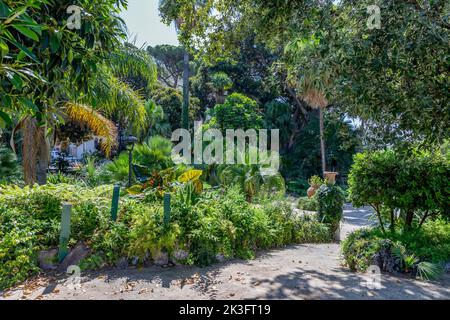 Palerme, Sicile, Italie - 6 juillet 2020: Jardin du palais de Normands à Palerme, Sicile Banque D'Images