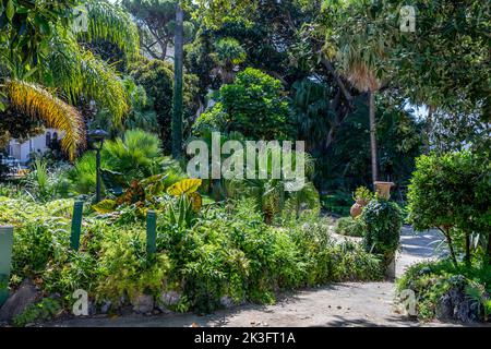 Palerme, Sicile, Italie - 6 juillet 2020: Jardin du palais de Normands à Palerme, Sicile Banque D'Images