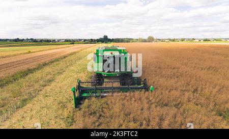 07.28.2022 - Varsovie, Pologne - concept de l'industrie agricole. Vue aérienne avant de l'agriculteur mâle assis derrière le volant de la grande moissonneuse-batteuse verte et de la récolte de colza. Perspective de drone. Photo de haute qualité Banque D'Images