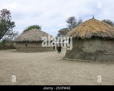 Village de Masai dans le parc national de Tarangire, Tanzanie, Afrique de l'est Banque D'Images