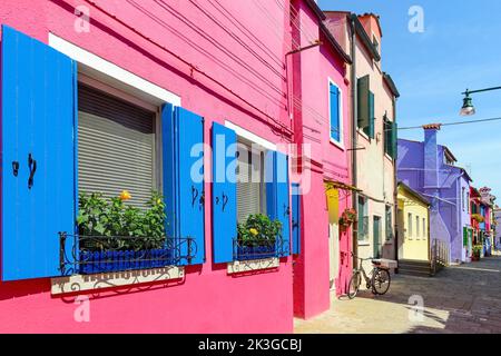 Des pots de fleurs décorent les murs et les fenêtres bleues de la maison rose. Architecture colorée à l'île de Burano, Venise, Italie Banque D'Images