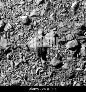 La dernière image complète du moonet astéroïde Dimorphos, prise par l'imageur DRACO sur la mission DART de la NASA à environ 7 miles (12 kilomètres) de l'astéroïde et 2 secondes avant l'impact. L'image montre une zone de l'astéroïde de 100 pieds (31 mètres). Le nord de Dimorphos est vers le haut de l'image. Crédits: NASA/Johns Hopkins APL Banque D'Images