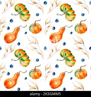 Citrouilles, épillet, bleuet aquarelle motif sans couture sur blanc. Légumes d'automne colorés dessinés à la main. Design pour l'emballage, textile, arrière-plan, f Banque D'Images