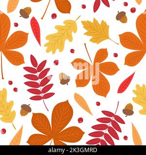 Motif d'automne avec de jolies feuilles, baies et glands. Arrière-plan transparent, illustration vectorielle de style dessin animé plat Illustration de Vecteur