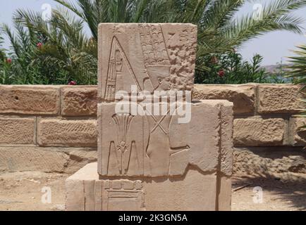 De beaux reliefs pharaoniques et hiéroglyphes sculptés sur les murs du temple de Philé, Assouan Banque D'Images