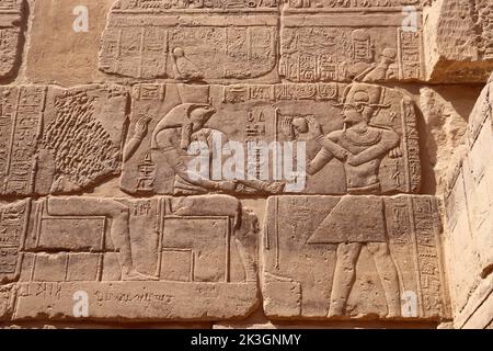 De beaux reliefs pharaoniques et hiéroglyphes sculptés sur les murs du temple de Philé, Assouan Banque D'Images