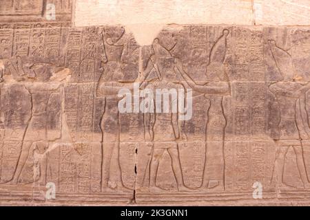 De beaux reliefs pharaoniques et hiéroglyphes sculptés sur les murs du temple de Philé, Assouan Banque D'Images