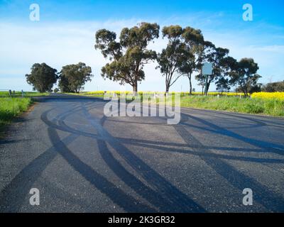 Marques de dérapage et traces de pneus sur une route tarmac avec champ de canola et arbres, Victoria, Australie. Banque D'Images