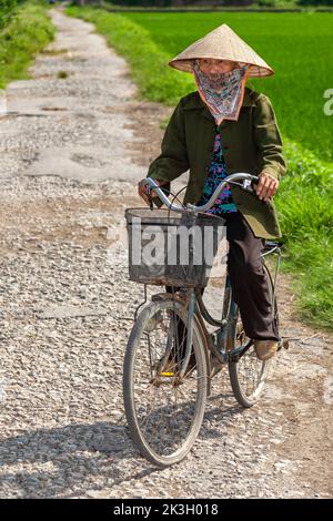 Cycliste portant un chapeau de bambou sur la route de campagne, Hai Phong rural, Vietnam Banque D'Images