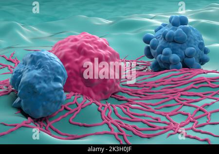 Cellules de cancer de la thyroïde - vue rapprochée 3D illustration Banque D'Images