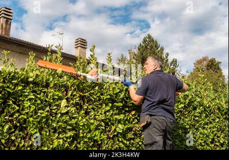 Homme mature taille haie avec un taille-haie électrique dans le jardin. Banque D'Images