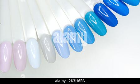 Vue de dessus ensemble de palette de vernis à ongles coloré pour la manucure sur fond clair. Collecte d'échantillons de vernis à ongles. Roue d'art de clou. Copier l'espace. Banque D'Images