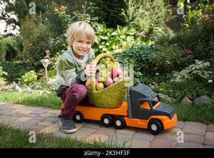 positif gai garçon porte le panier avec des pommes de ferme bio et des raisins sur grande voiture de jouet - camion. Coursier, chauffeur de camion, comme papa. Jeux pour garçons L Banque D'Images