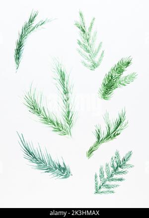 PIN, épinette, branches de sapin, falaise d'hiver. Ensemble de décorations de Noël en branches de sapin peintes à l'aquarelle sur papier blanc. Banque D'Images