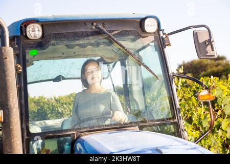 Femme propriétaire de vignoble derrière la vitre dans la cabine du tracteur Banque D'Images