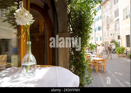 Bar à vin Enovit, Bolzano, Trentin-Haut-Adige, Italie Banque D'Images