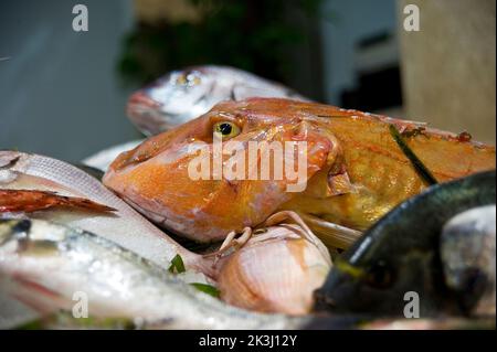 Poissons, Mercato San Benedetto, Cagliari, Sardaigne, Italie Banque D'Images