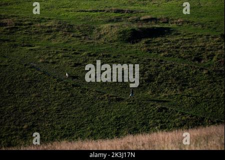 Brighton UK 27th septembre 2022 - Une marchette bénéficie d'un matin d'automne ensoleillé mais frais le long de South Downs Way à Devils Dyke, juste au nord de Brighton . : Crédit Simon Dack / Alamy Live News Banque D'Images