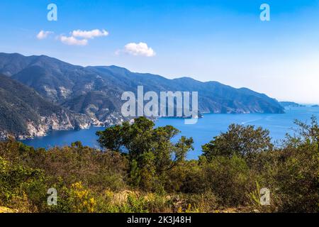 Punta Mesco point de vue où peut admirer tous les 'Cinque Terre' sur la côte ligurienne, la province de la Spezia, Italie Banque D'Images