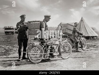 Les pigeons domestiques militaires de la première Guerre mondiale ont agi comme des messagers efficaces et expédient des porteurs non seulement de division en division et des tranchées vers l'arrière. Ici deux soldats avec des motos, chacun avec un panier en osier attaché à son dos. Un troisième homme met un pigeon dans l'un des paniers. En arrière-plan, il y a deux pigeons mobiles Banque D'Images