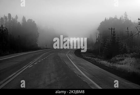 Brouillard matinal au début de l'automne sur l'autoroute 60, dans le parc Algonquin, Canada Banque D'Images