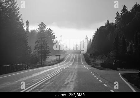 Brouillard matinal au début de l'automne sur l'autoroute 60, dans le parc Algonquin, Canada Banque D'Images