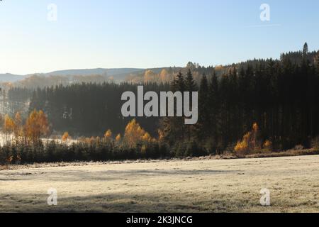 Novembre dans la forêt de Bohême Banque D'Images