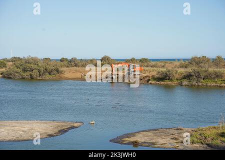 Amélioration des frontières du lagon au parc naturel de Guadalhorce, Malaga, Andalousie, Espagne. Banque D'Images