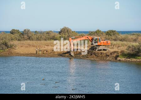 Amélioration des frontières du lagon au parc naturel de Guadalhorce, Malaga, Andalousie, Espagne. Banque D'Images