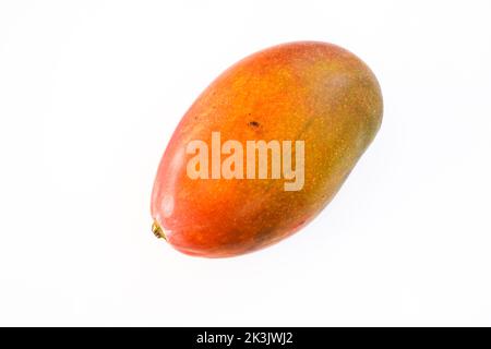 Mangue sur fond blanc Banque D'Images
