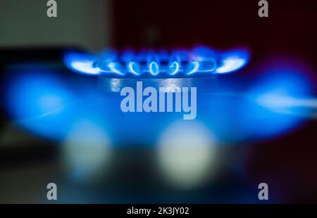 27 septembre 2022, Hessen, Francfort-sur-le-main : flammes de gaz brûlant sur un poêle dans une cuisine. Photo: Frank Rumpenhorst/dpa