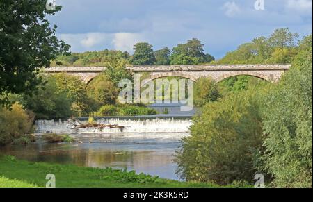 Weir sur la rivière Wharfe à Tadcaster, Yorkshire, Angleterre, Royaume-Uni, LS24 9BL Banque D'Images