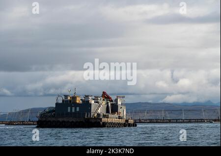 2022 septembre : île de Canna, Hébrides intérieures, ferme de saumon d'Écosse Banque D'Images