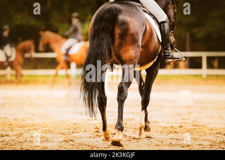 Une vue arrière d'un cheval de baie avec une longue queue noire et un cavalier dans la selle, qui marche à travers une arène de sable où d'autres cavaliers s'entraînent. Equestrian sp Banque D'Images