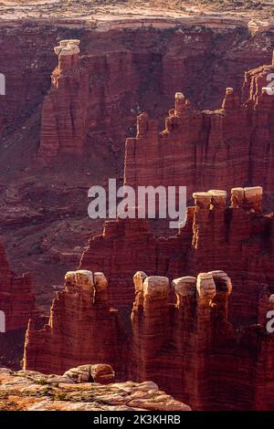 Formations rocheuses de schiste d'orgue Rock avec bouchons en grès White Rim dans Monument Basin, Parc national de Canyonlands, Utah. Banque D'Images