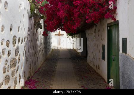 Une allée avec des murs blancs et un arbre à fleurs roses suspendu au-dessus et une croix dans l'arrière-plan Banque D'Images