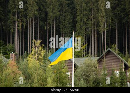 Drapeau de l'Ukraine sur un pilier dans les Carpates contre la toile de fond de la forêt et des collines de Carpates, drapeau ukrainien en Ukraine Banque D'Images