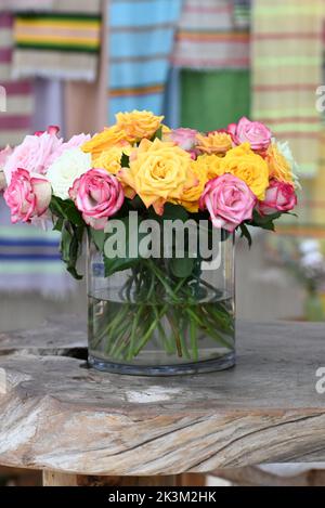 Roses dans une variété de couleurs mélangées. Banque D'Images