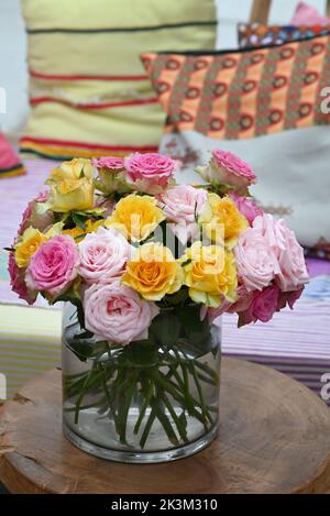 Roses dans une variété de couleurs mélangées. Banque D'Images