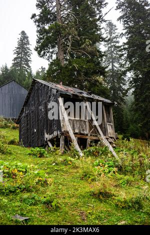Vieilles maisons traditionnelles en bois de Bakhmaro chalet dans la région géorgienne Guria dans le matin brumeux Banque D'Images