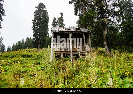 Vieilles maisons traditionnelles en bois de Bakhmaro chalet dans la région géorgienne Guria dans le matin brumeux Banque D'Images