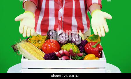 Gros plan, les mains des femmes en gants, garder les légumes, l'aubergine sur Chromakey, fond vert et une boîte pleine de légumes différents, en studio. Concept de comptage des cultures, récolte des légumes. Photo de haute qualité Banque D'Images