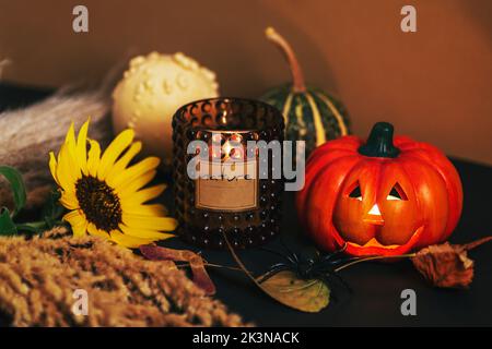 Plan de fête d'Halloween avec Jack-O-Lantern, citrouilles, bougie, tournesol et araignée sur table noire. Concept des vacances d'automne. Banque D'Images