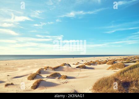 Large plage de sable dans le nord du Danemark. Photo de haute qualité Banque D'Images