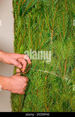 Noël traditions de vacances.arbre de Noël déballage.arbre enveloppé. Les mains couper le filet sur l'arbre de Noël gros-up.achat et installation d'un Banque D'Images