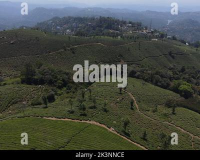 Une vue aérienne d'une route sinueuse passant par les plantations de thé vert à Munnar, en Inde Banque D'Images