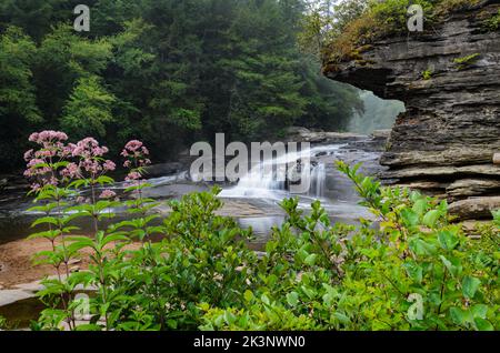 Chutes d'hirondelle dans la rivière Youghiogheny dans le comté de Garrett, Maryland, États-Unis Banque D'Images