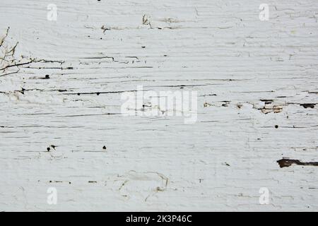 Texture d'arrière-plan du bois peint en haute résolution Banque D'Images