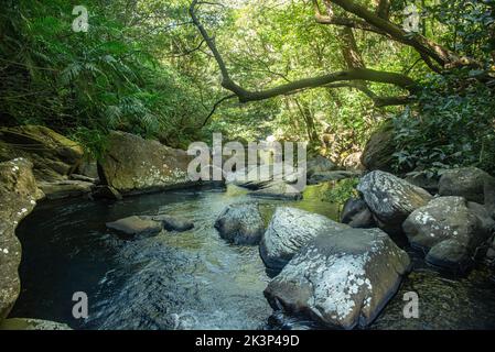 La piscine à la cascade de la Cangreja, Parc national de Rincon de la Vieja, Guanacaste, Costa Rica Banque D'Images